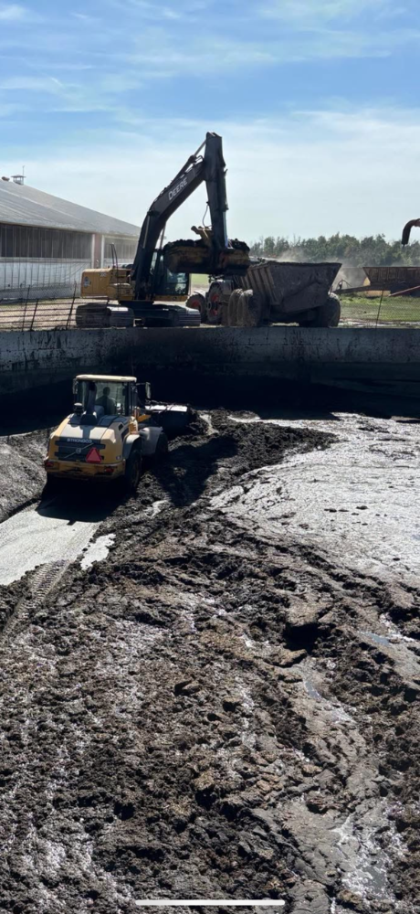 Site prep